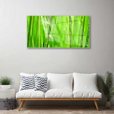 Tableaux sur verre acrylique Herbe floral vert