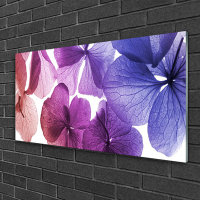 Tableaux sur verre acrylique Fleurs floral rose violet