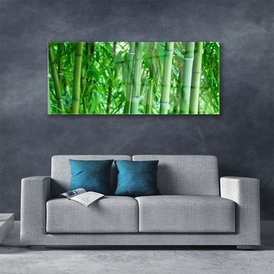 Tableaux sur verre acrylique Bambou tige floral vert