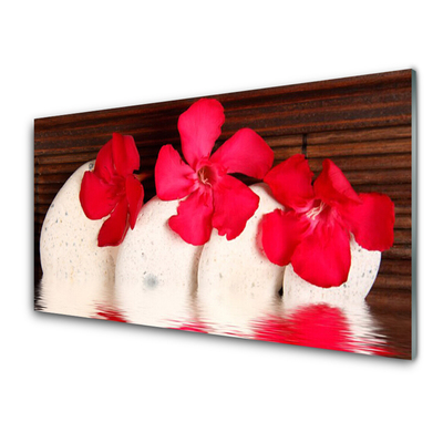 Tableaux sur verre acrylique Fleurs pierres floral rouge blanc