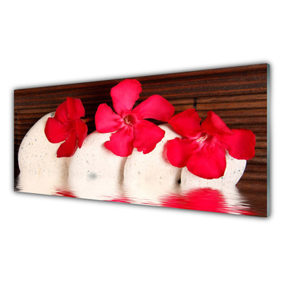 Tableaux sur verre acrylique Fleurs pierres floral rouge blanc