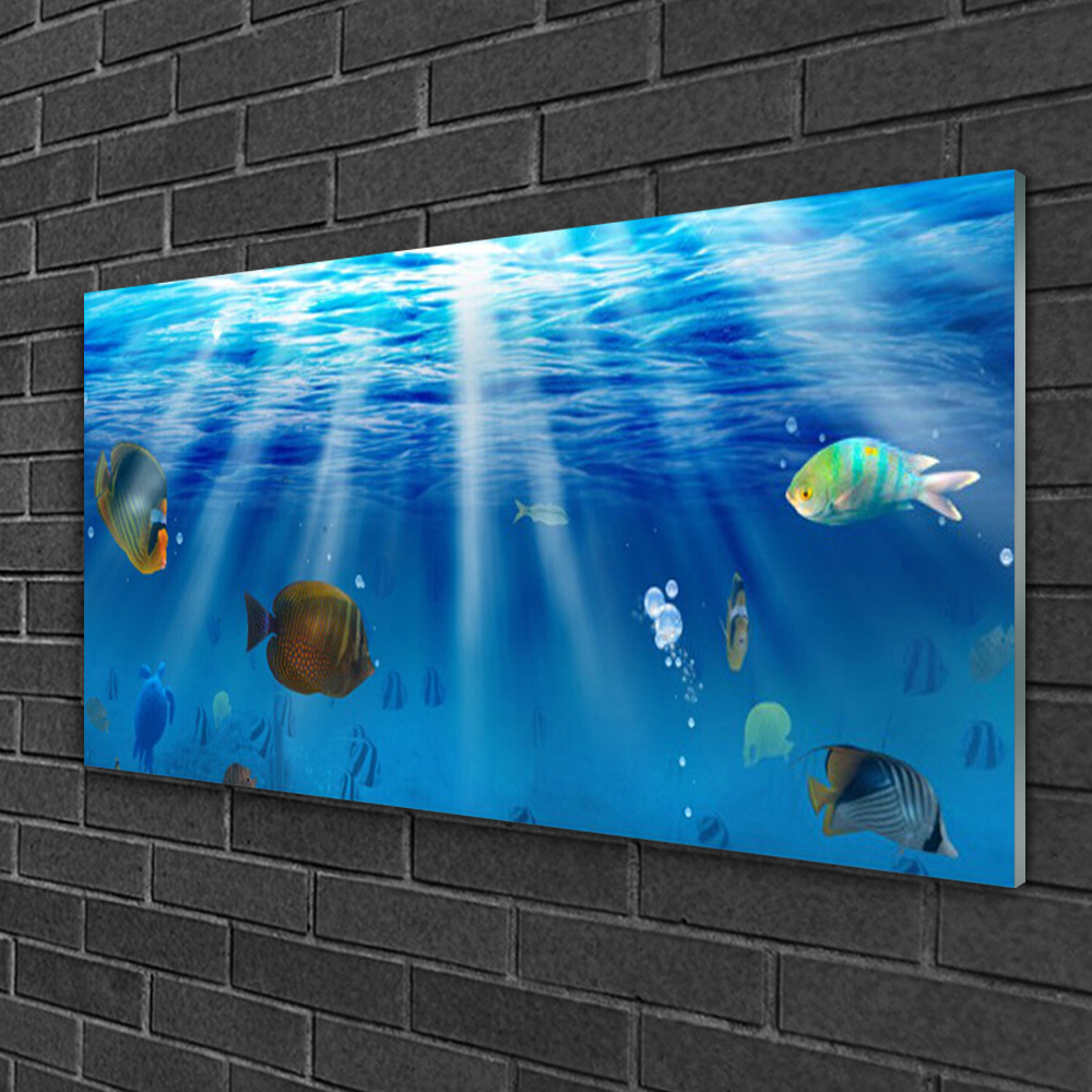 Tableau en verre acrylique Poisson rouge blagueur - Mark Ashkenazi