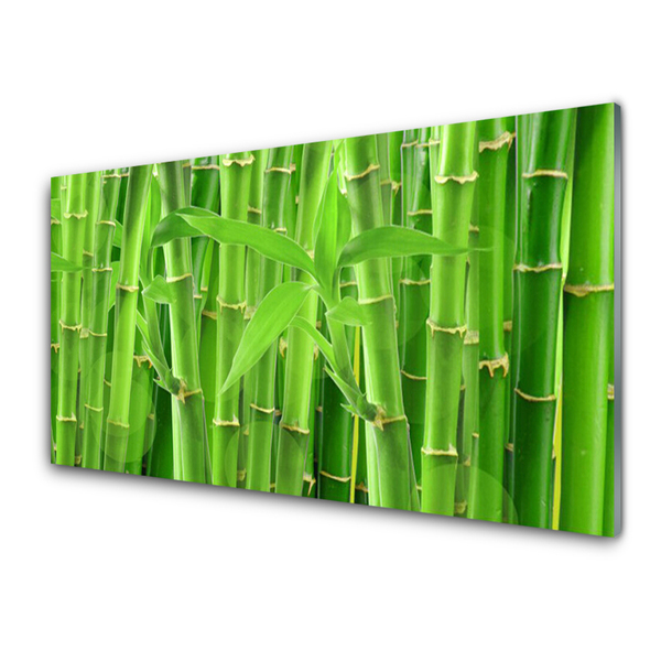 Tableaux sur verre acrylique Bambou tige floral vert