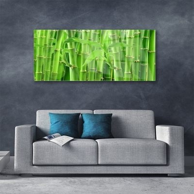 Tableaux sur verre acrylique Bambou tige floral vert