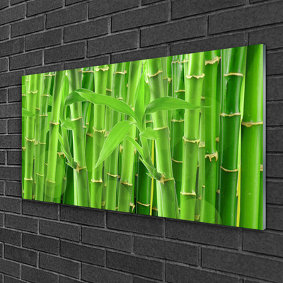 Tableaux sur verre acrylique Bambou tige floral vert