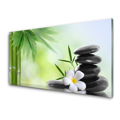 Tableaux sur verre acrylique Bambou tige fleur pierres art vert blanc noir