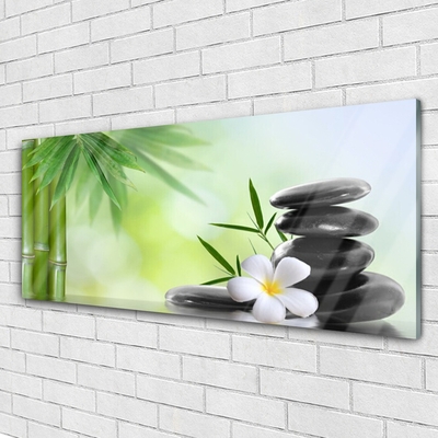 Tableaux sur verre acrylique Bambou tige fleur pierres art vert blanc noir