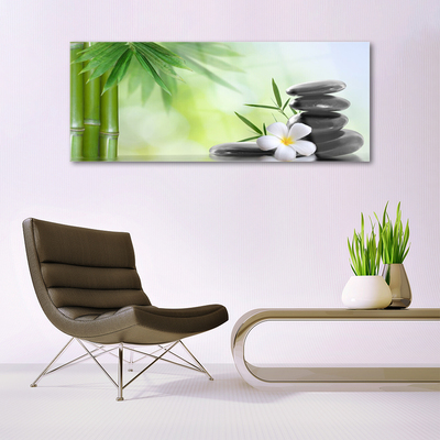 Tableaux sur verre acrylique Bambou tige fleur pierres art vert blanc noir