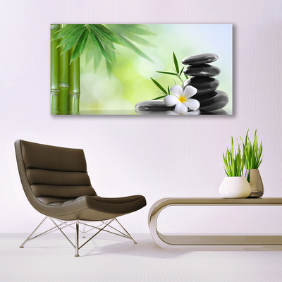 Tableaux sur verre acrylique Bambou tige fleur pierres art vert blanc noir