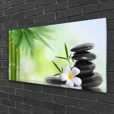 Tableaux sur verre acrylique Bambou tige fleur pierres art vert blanc noir