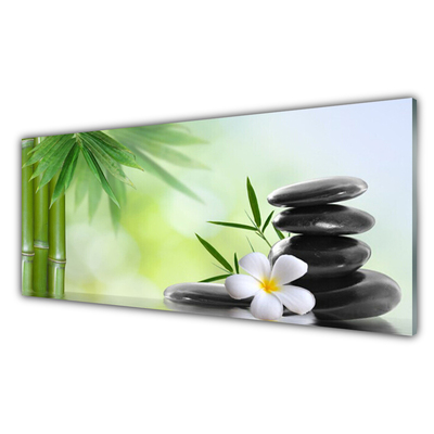 Tableaux sur verre acrylique Bambou tige fleur pierres art vert blanc noir