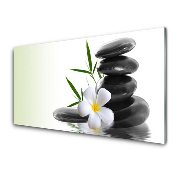 Tableaux sur verre acrylique Fleurs pierres art blanc noir