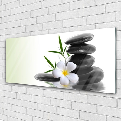 Tableaux sur verre acrylique Fleurs pierres art blanc noir