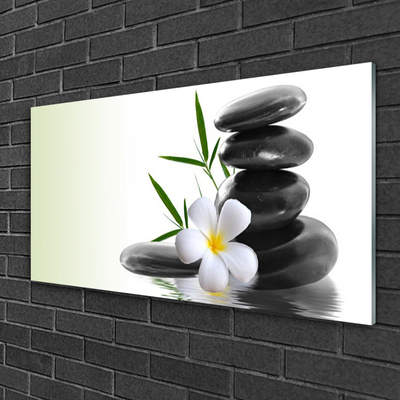 Tableaux sur verre acrylique Fleurs pierres art blanc noir