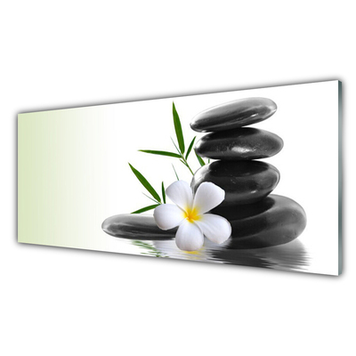 Tableaux sur verre acrylique Fleurs pierres art blanc noir