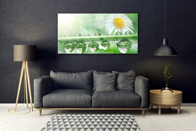 Tableaux sur verre acrylique Rosée feuille marguerite nature vert blanc jaune