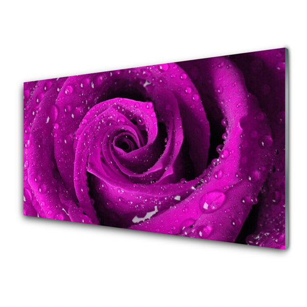 Tableaux sur verre acrylique Rose floral rose