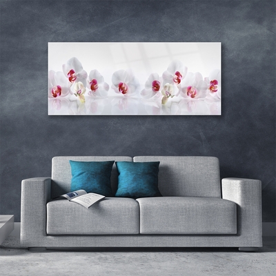 Tableaux sur verre acrylique Fleurs floral blanc rouge