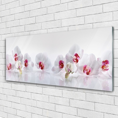 Tableaux sur verre acrylique Fleurs floral blanc rouge