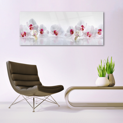 Tableaux sur verre acrylique Fleurs floral blanc rouge