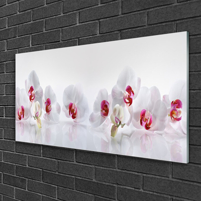 Tableaux sur verre acrylique Fleurs floral blanc rouge