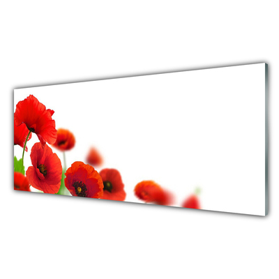 Tableaux sur verre acrylique Coquelicots floral rouge noir vert