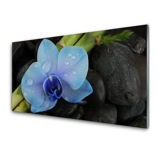 Tableaux sur verre acrylique Pierres fleurs floral violet noir