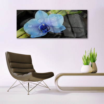 Tableaux sur verre acrylique Pierres fleurs floral violet noir