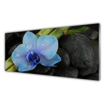 Tableaux sur verre acrylique Pierres fleurs floral violet noir