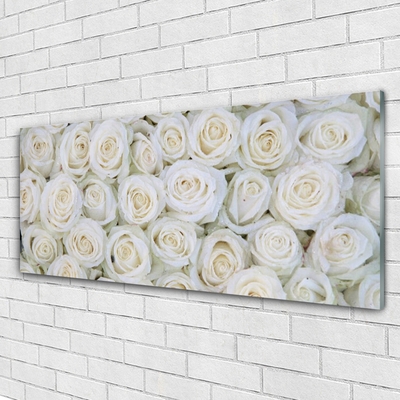 Tableaux sur verre acrylique Roses floral blanc