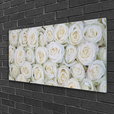 Tableaux sur verre acrylique Roses floral blanc