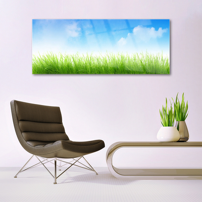 Tableaux sur verre acrylique Herbe nature vert