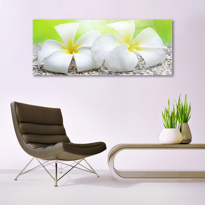 Tableaux sur verre acrylique Fleurs floral blanc