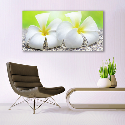 Tableaux sur verre acrylique Fleurs floral blanc