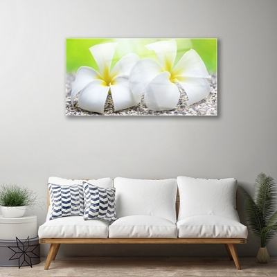 Tableaux sur verre acrylique Fleurs floral blanc