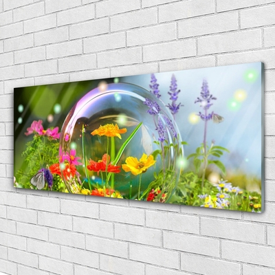 Tableaux sur verre acrylique Fleurs nature multicolore