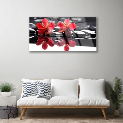 Tableaux sur verre acrylique Fleurs pierres floral rouge noir