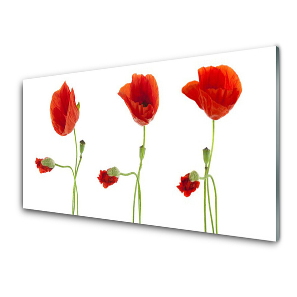Tableaux sur verre acrylique Coquelicots floral rouge vert