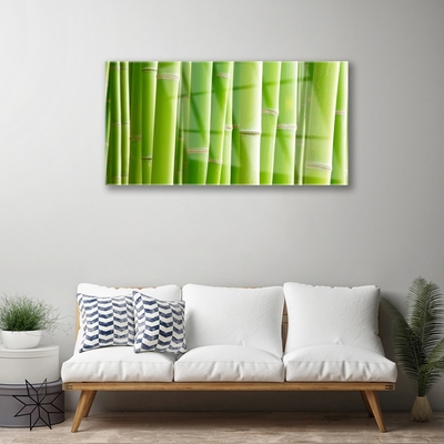 Tableaux sur verre acrylique Bambou tige floral vert