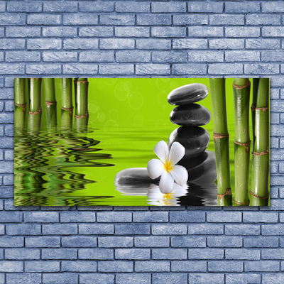 Tableaux sur verre acrylique Bambou fleurs pierres art vert noir blanc