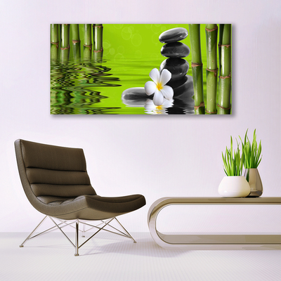 Tableaux sur verre acrylique Bambou fleurs pierres art vert noir blanc