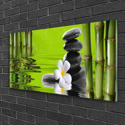 Tableaux sur verre acrylique Bambou fleurs pierres art vert noir blanc