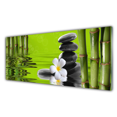 Tableaux sur verre acrylique Bambou fleurs pierres art vert noir blanc