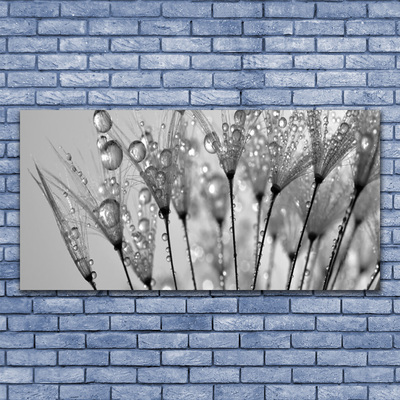 Tableaux sur verre acrylique Pissenlit floral gris