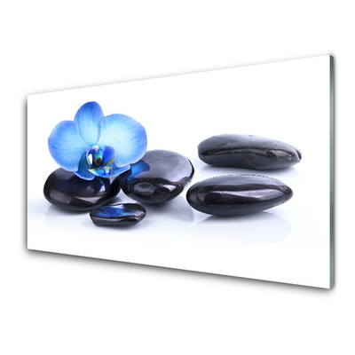 Tableaux sur verre acrylique Fleurs pierres art bleu noir