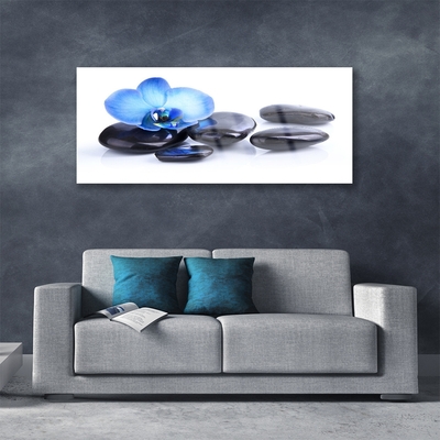 Tableaux sur verre acrylique Fleurs pierres art bleu noir