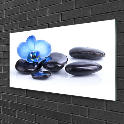 Tableaux sur verre acrylique Fleurs pierres art bleu noir