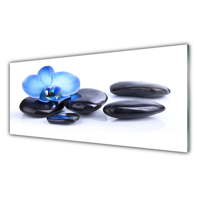 Tableaux sur verre acrylique Fleurs pierres art bleu noir