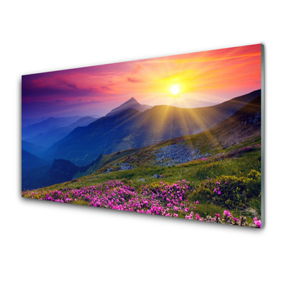 Tableaux sur verre acrylique Montagne fleurs prairie paysage bleu rose vert jaune