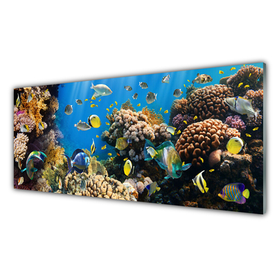 Tableaux sur verre acrylique Récif de corail nature multicolore